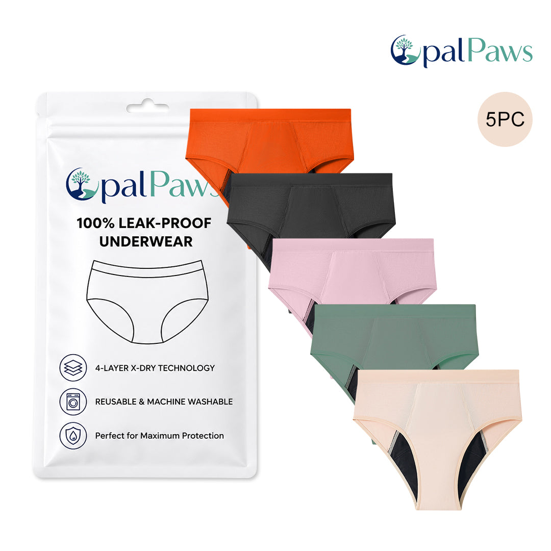 5-Pack Multi-Color Underwear Set 2
