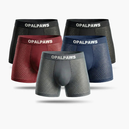 OPALPAWS :Reinvented: Sustainable Comfort That Moves With You