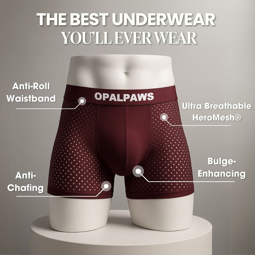OPALPAWS :Reinvented: Sustainable Comfort That Moves With You