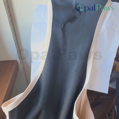 Highly Recommended | Save 70% on Opalpaws™ Leak-Proof Underwear